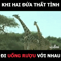 GIF by Lozi Singapore Co.