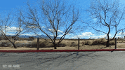 GIF by Off The Jacks