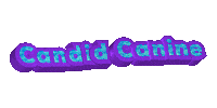 Candid Canine Sticker by FenwayBark