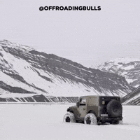 Snow Bulls GIF