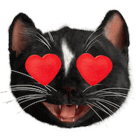 I Love It Reaction Sticker by Felini Rocks