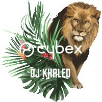 Cybex Sticker by cybex_global