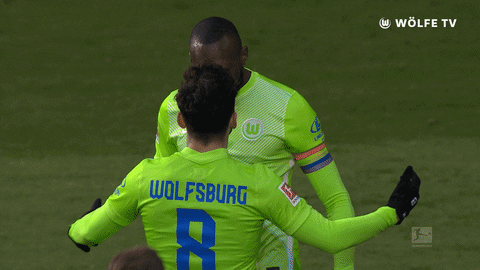 Football Sport GIF by VfL Wolfsburg