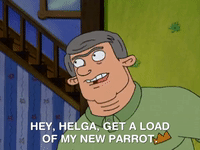 hey arnold nicksplat GIF