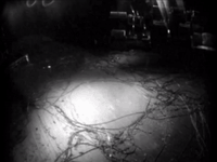 maroon5 maroon 5 moves like jagger GIF