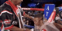 toprank fight boxing fighting fighters GIF