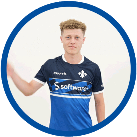 Hallo 2 Bundesliga Sticker by SV Darmstadt 1898 e.V.