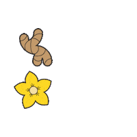 Kona Nuunlife Sticker by Nuun Hydration