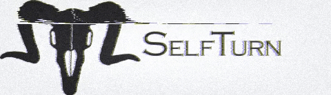SelfTurn giphygifmaker turn self aries GIF