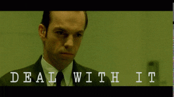 the matrix deal with it GIF