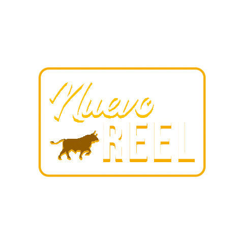 Nuevo Reel Sticker by Básculas Quiñonez