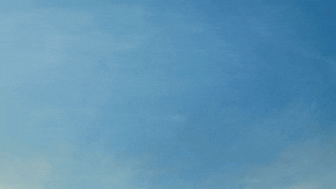 Miss India GIF