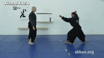 korai kata Ã§Â¬Â¬Ã¤Â¸Â€ GIF by AKBAN Academy