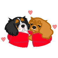 Animated Sticker
