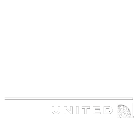 Bleuberrygrrl Sticker by United Airlines