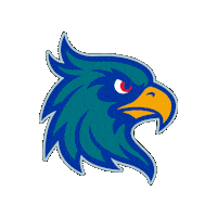 Swoop Annearundelcc Sticker by Anne Arundel Community College