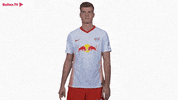 No Way Alex GIF by RB Leipzig