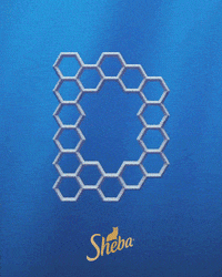 Letter Alphabet GIF by Sheba Official