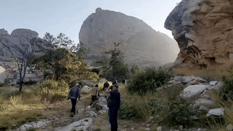 gregoryaskew giphyupload GIF