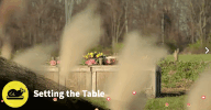 #savagethanksgiving GIF by Nat Geo Wild 