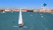 Film Help GIF by MolaTV