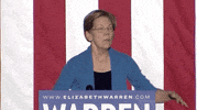 Elizabeth Warren Rally GIF by Election 2020