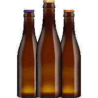 De Bie Beer Sticker by Brewery De Bie