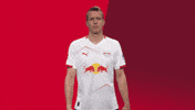 Komm Schon Come On GIF by RB Leipzig