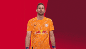 Komm Schon Come On GIF by RB Leipzig