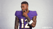 Football Smh GIF by Baltimore Ravens