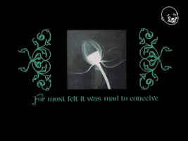 Stevie Wonder GIF by Eternal Family