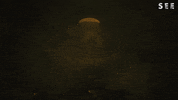 Fire See GIF by Apple TV+