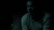 michael scofield fox GIF by Prison Break
