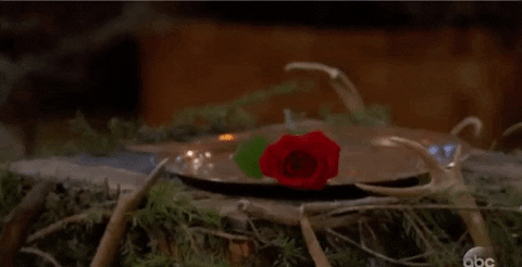 episode 11 rose GIF by The Bachelor