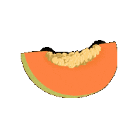 pollolarrainarte melon pollolarrain pollolarraín pollolarrainarte Sticker