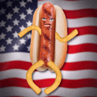 Grilling Independence Day GIF by Todd Rocheford