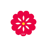 BonafontMexico flor agua montana botella Sticker