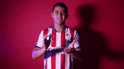 Sanluis Adsl GIF by Atlético de San Luis