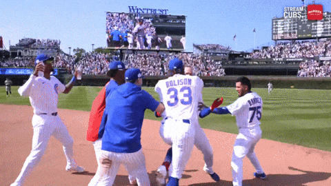 Excited Chicago Cubs GIF