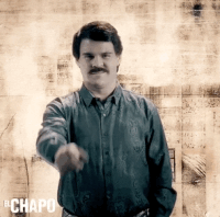 #chapo #netflix #narco #politics GIF