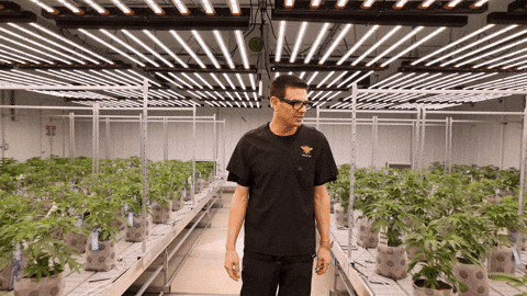 Tour Grow GIF by Exclusive Brands