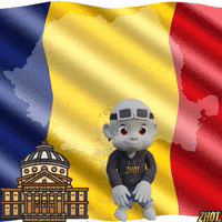 Romania GIF by Zhot