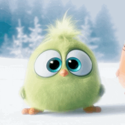 hatchlings GIF by Angry Birds