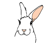 Rabbit Harry Sticker by dekornik