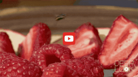 GIF by KQEDScience