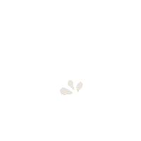 drinkavaline splash avaline drinkavaline ahhvaline Sticker