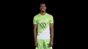 Germany Thumbs Up GIF by VfL Wolfsburg