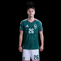 Fifa World Cup Mexico GIF by Respective