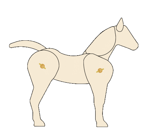 onapromise giphyupload night friday horse Sticker