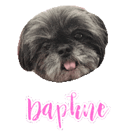 Dog Daphne Sticker